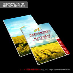 畫冊(cè)設(shè)計(jì)的多元領(lǐng)域應(yīng)用與核心要素